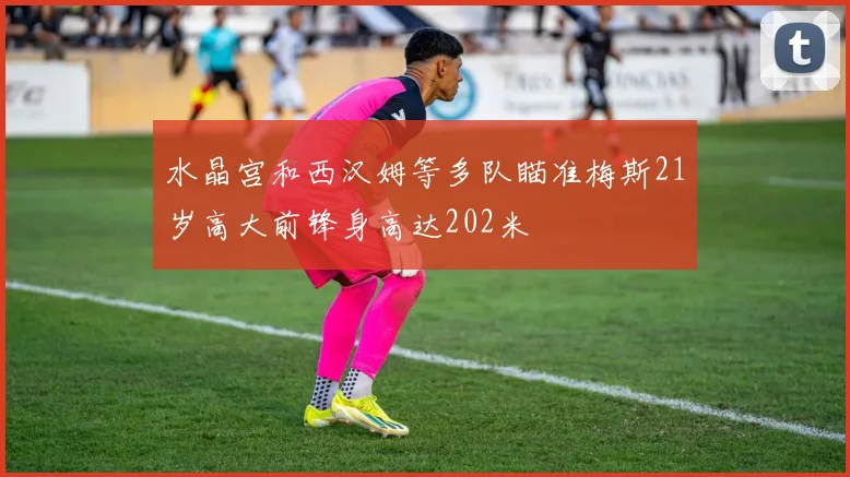 水晶宫和西汉姆等多队瞄准梅斯21岁高大前锋身高达202米